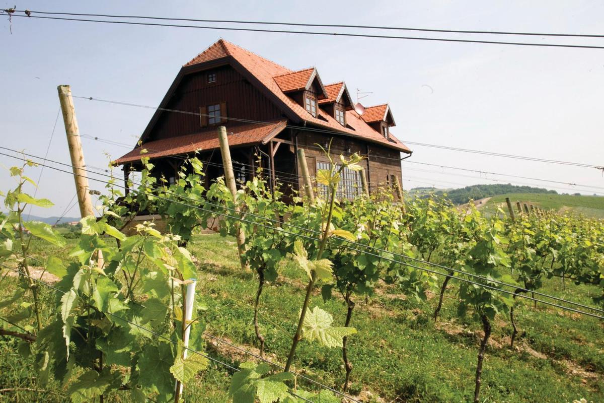 Rooms Bolfan Vinski Vrh Hrašćina Zewnętrze zdjęcie